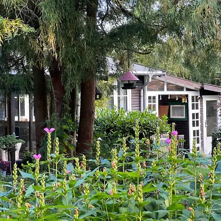 House With Unique Nature By Roskilde Fjord
